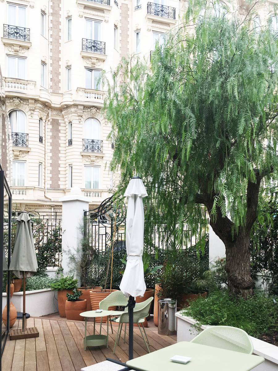 schinus mollis cannes 3.14  casino 