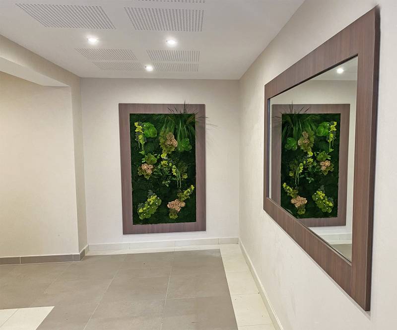 Tableau végétal sans entretien pour hall d'immeuble à Aix en Provence